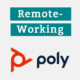 Remote Working - Poly